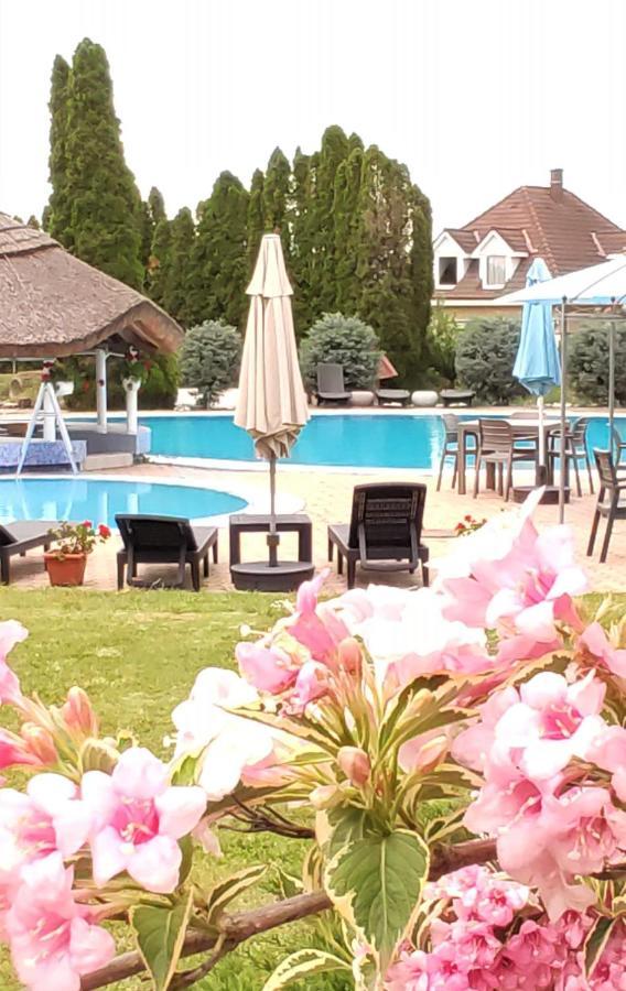 Helena Studio Apartman Сиофок Екстериор снимка